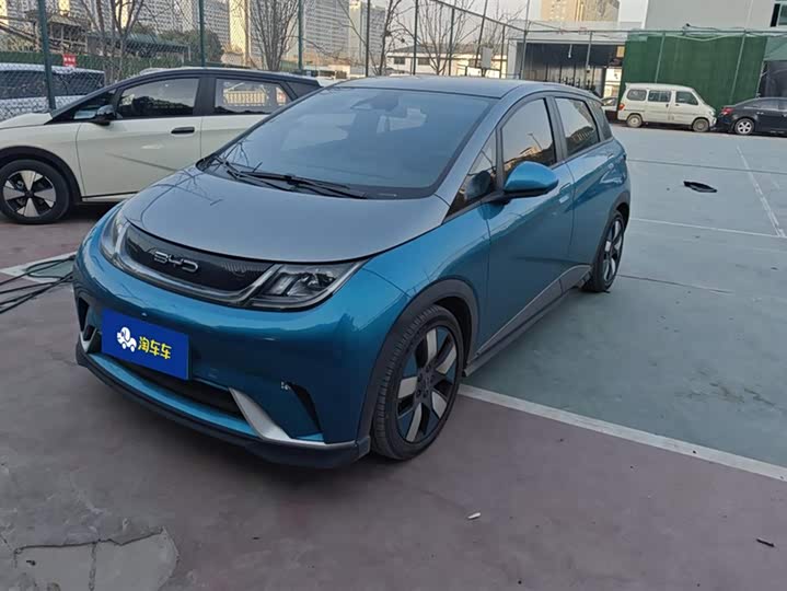 Фото 1 - BYD Dolphin