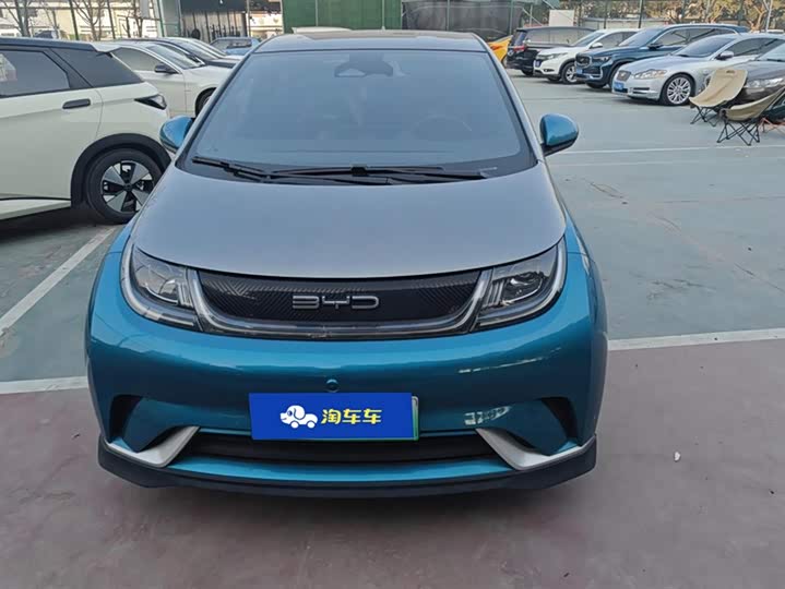 Фото 2 - BYD Dolphin