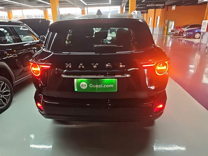 Фото 6 - Haval H-Dog Hybrid