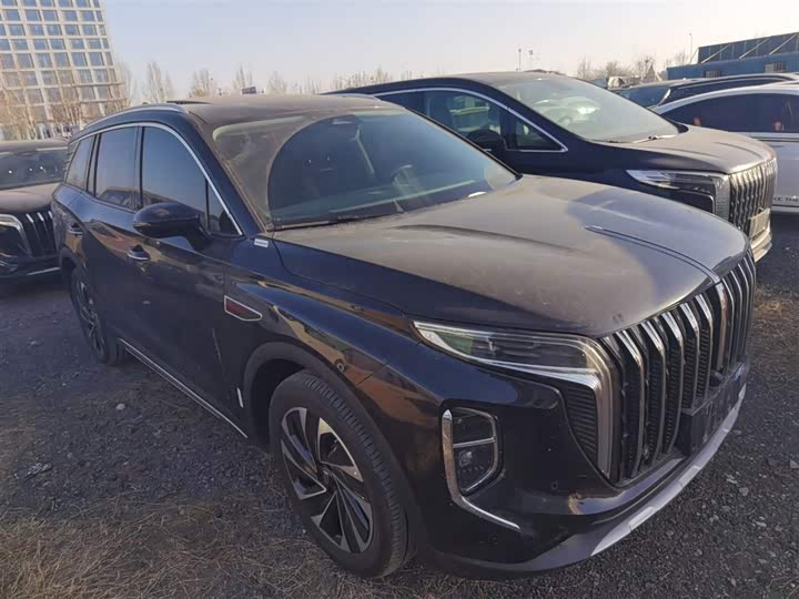 Фото 4 - Hongqi HS7 Hybrid