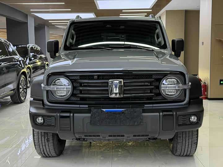 Фото 2 - Tank 300