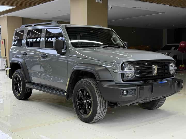 Фото 3 - Tank 300