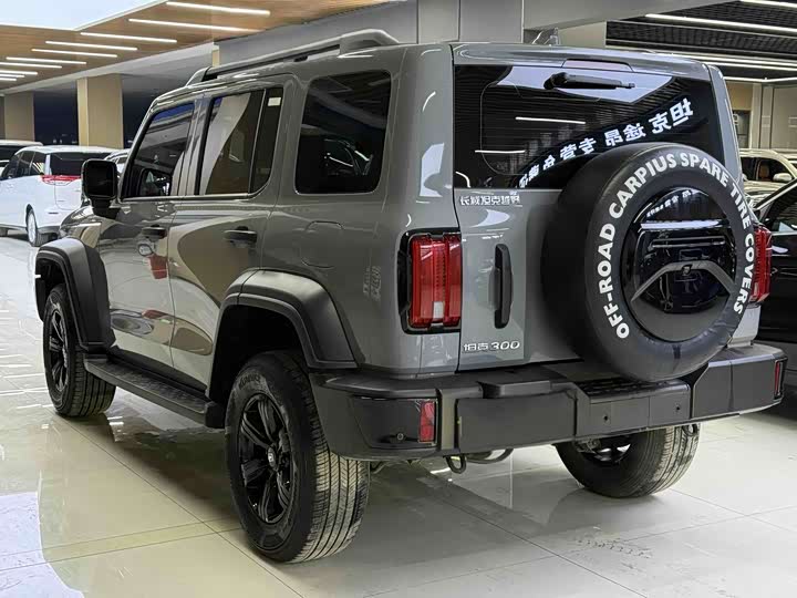 Фото 4 - Tank 300