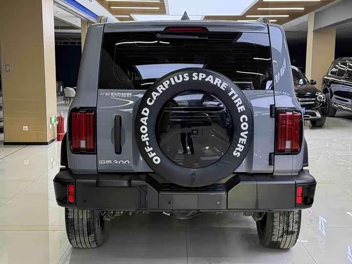 Фото 5 - Tank 300