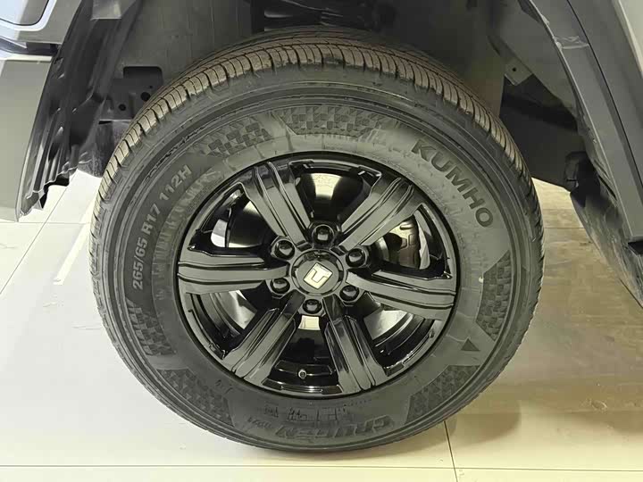 Фото 9 - Tank 300