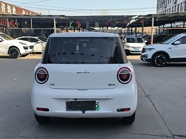 Фото 4 - Changan Qiyuan (Nevo) Lumin