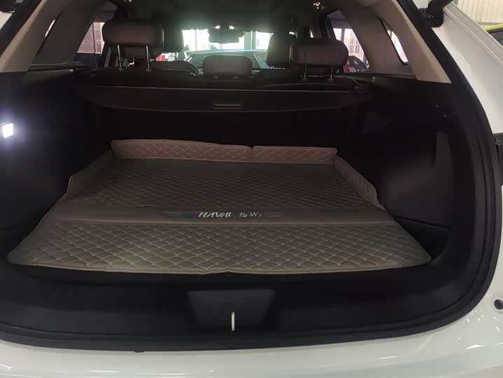 Фото 4 - Haval Ruge Max