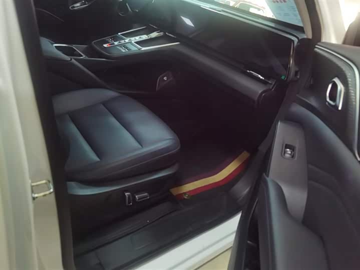 Фото 8 - Haval Ruge Max