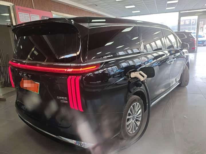 Фото 3 - Wey Gaoshan