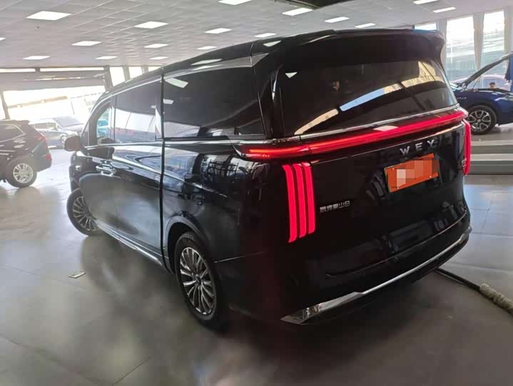 Фото 4 - Wey Gaoshan