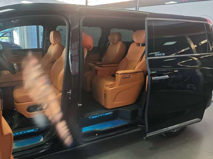 Фото 6 - Wey Gaoshan