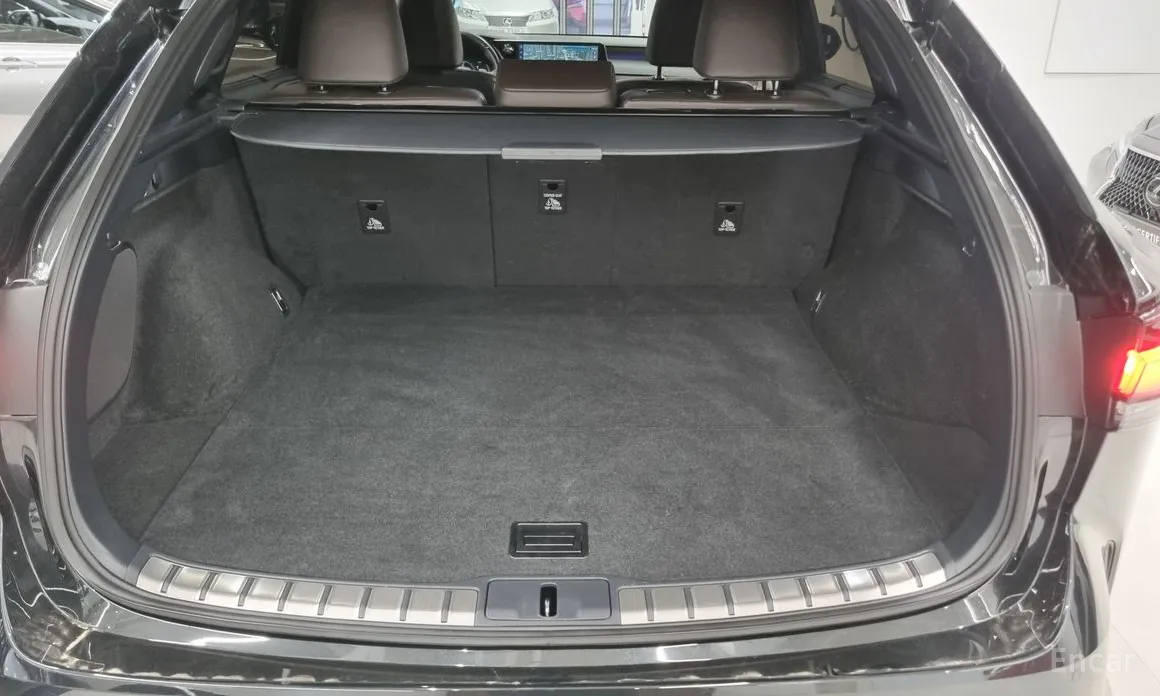 Фото 19 - Lexus RX