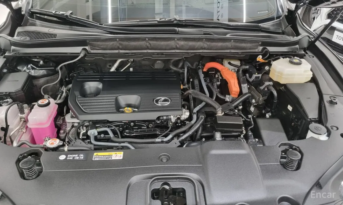 Фото 6 - Lexus RX