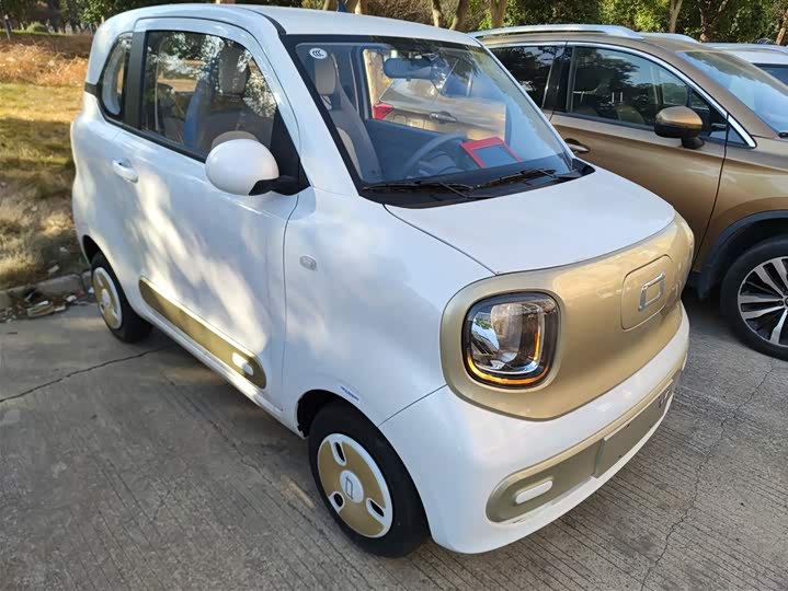 Фото 4 - Bestune Pony