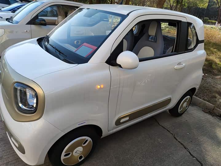 Фото 5 - Bestune Pony