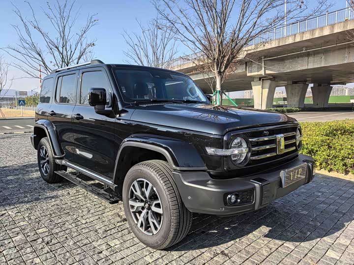 Фото 3 - Tank 300