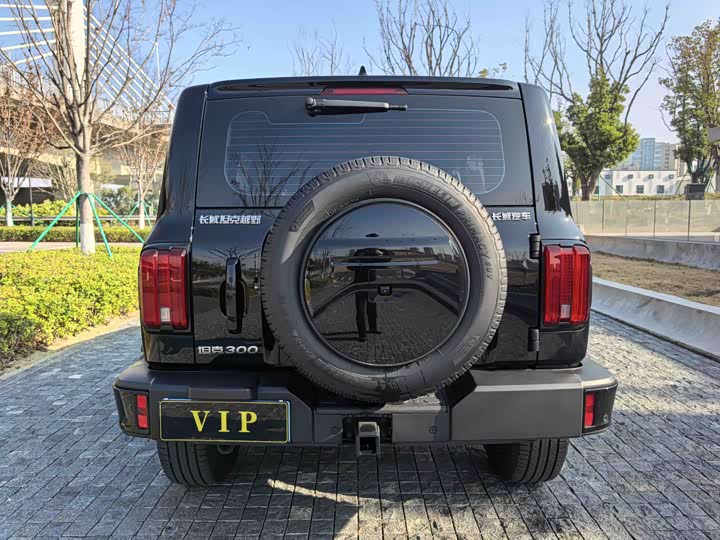 Фото 9 - Tank 300