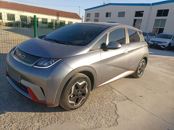 Фото 2 - BYD Dolphin