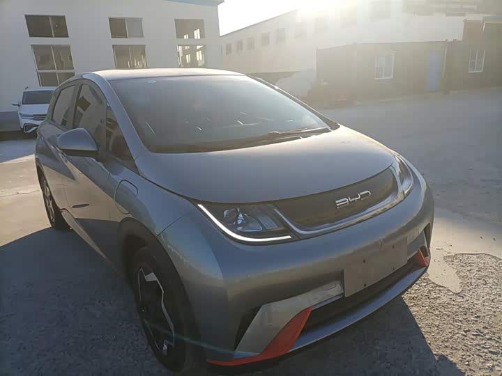 Фото 4 - BYD Dolphin