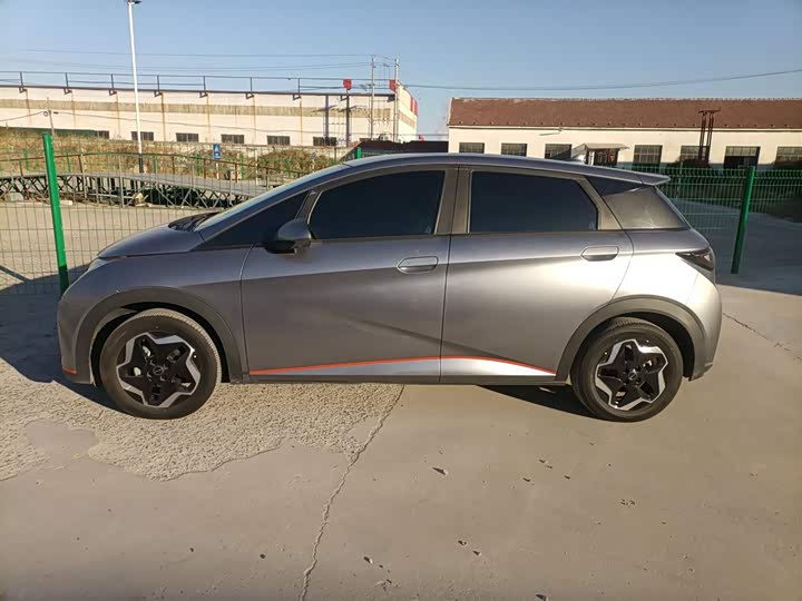 Фото 5 - BYD Dolphin