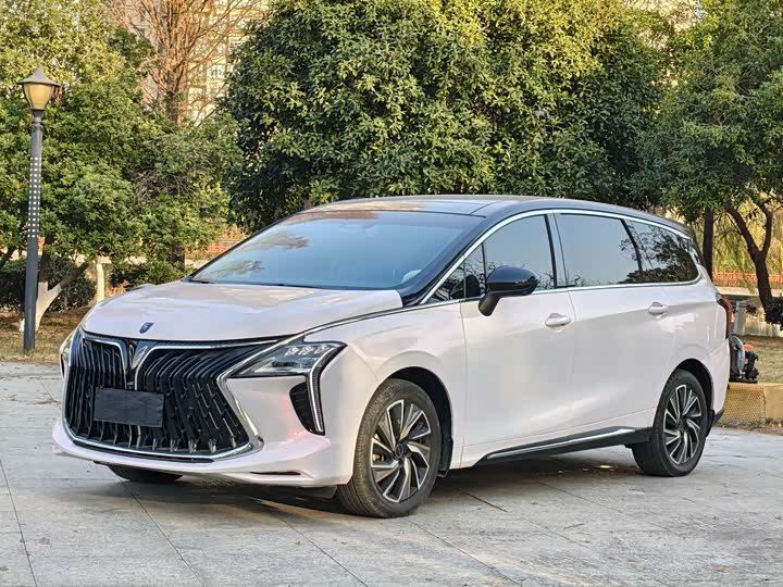 Фото 1 - Dongfeng Forthing Yacht