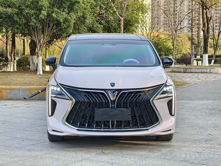 Фото 2 - Dongfeng Forthing Yacht