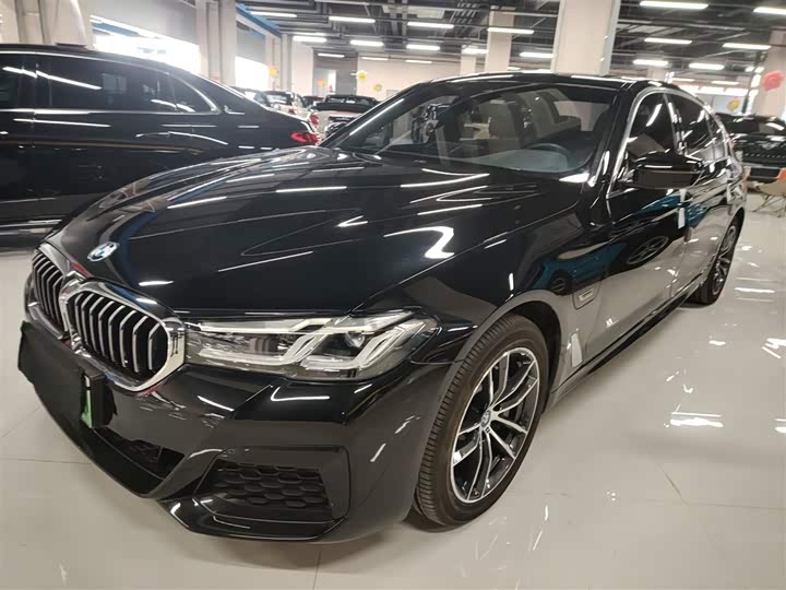 Фото 1 - BMW 5 Series Hybrid