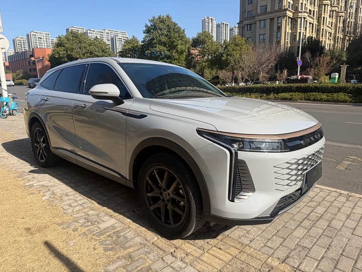 Фото 3 - Exeed RX