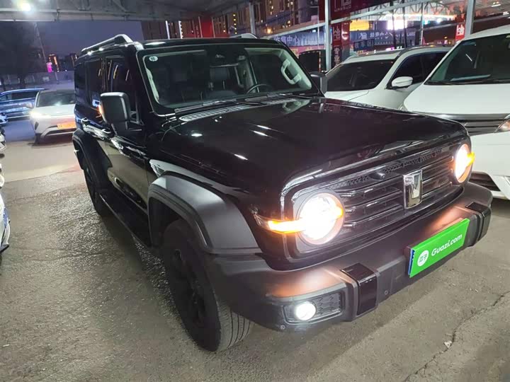 Фото 4 - Tank 300