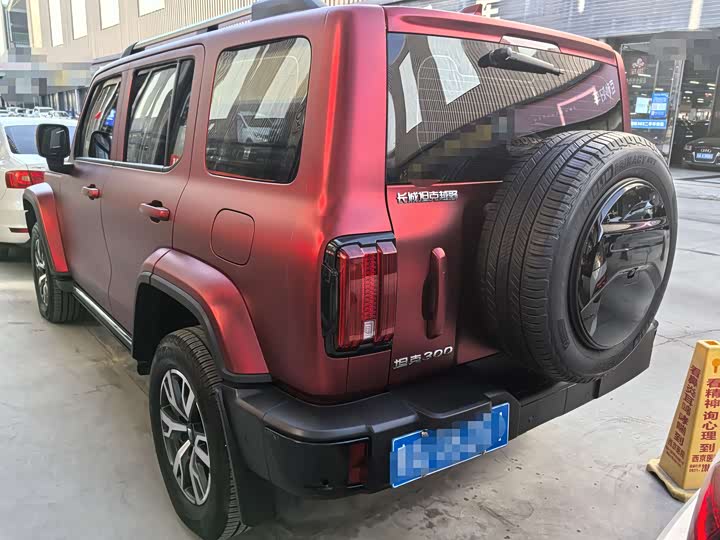 Фото 4 - Tank 300