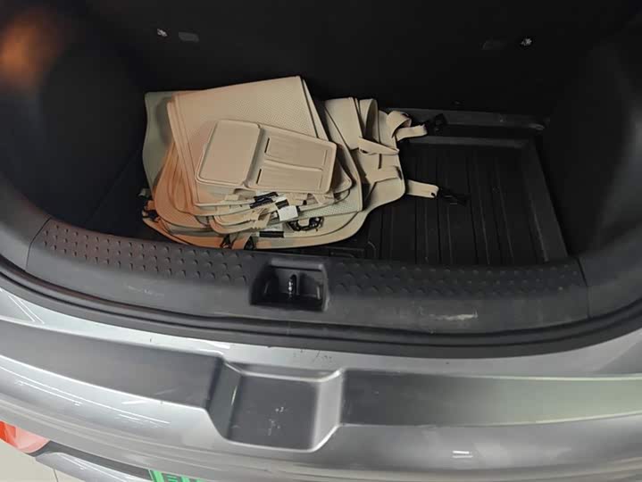 Фото 4 - BYD Dolphin