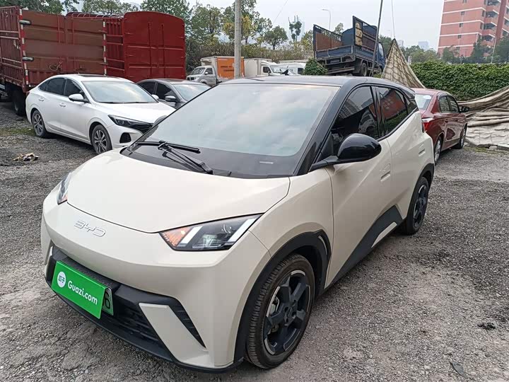 Фото 1 - BYD Seagull