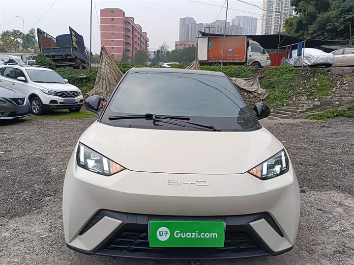 Фото 3 - BYD Seagull