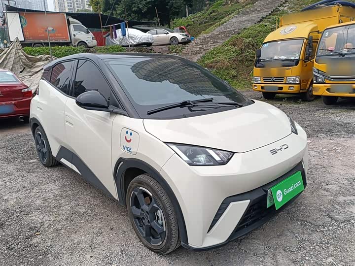 Фото 4 - BYD Seagull