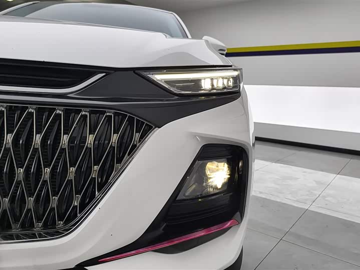 Фото 5 - Changan Oshan X7 Plus