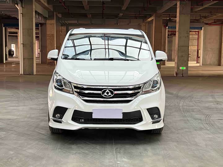 Фото 1 - Maxus G10