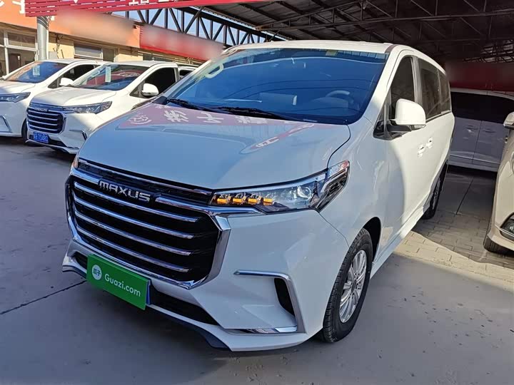 Фото 1 - Maxus G20