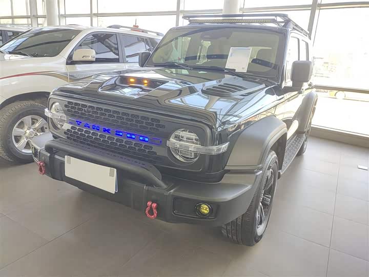 Фото 1 - Tank 300