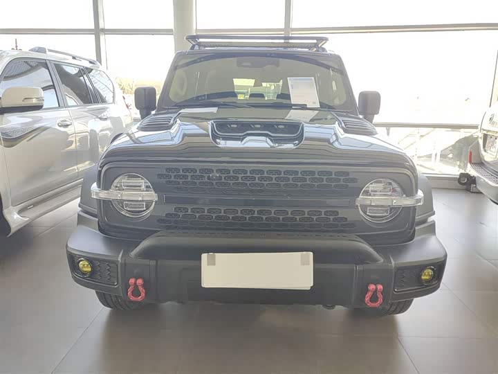 Фото 3 - Tank 300