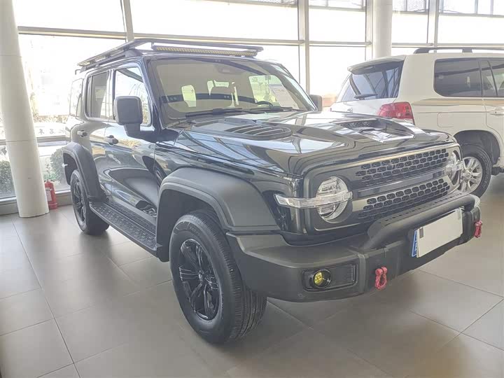 Фото 4 - Tank 300