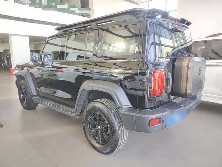 Фото 5 - Tank 300