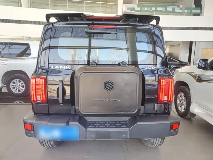 Фото 6 - Tank 300