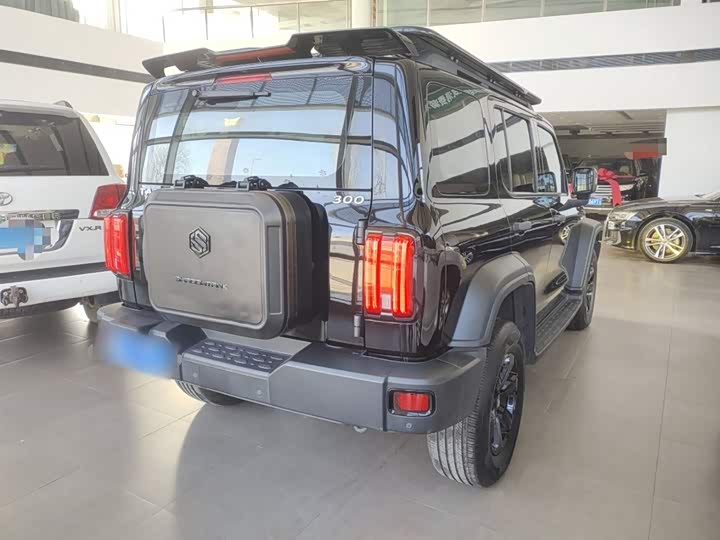 Фото 7 - Tank 300