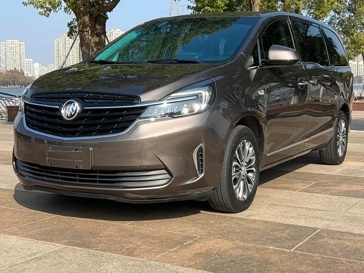 Фото 1 - Buick GL8 ES