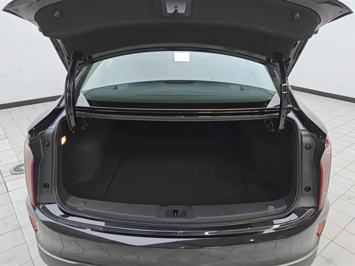 Фото 4 - Hongqi E-QM5