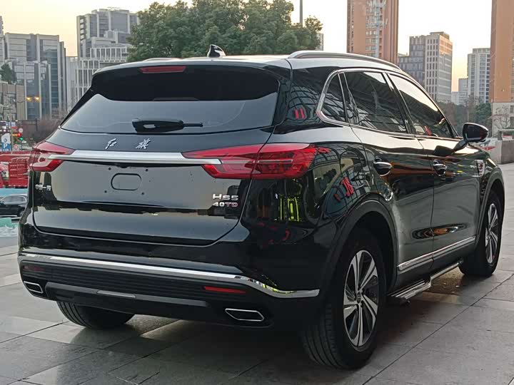 Фото 8 - Hongqi HS5