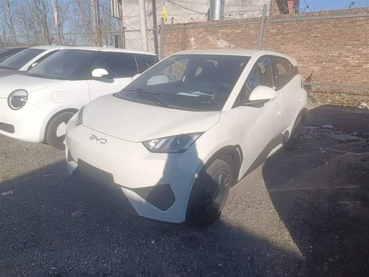 Фото 1 - BYD Seagull