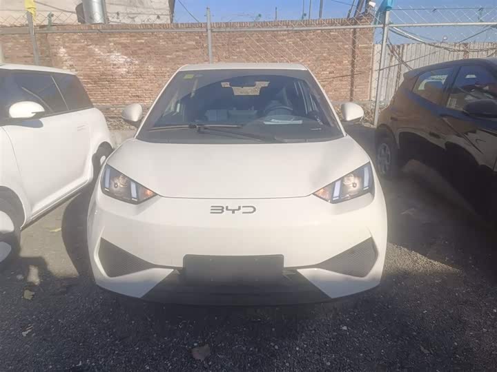 Фото 3 - BYD Seagull