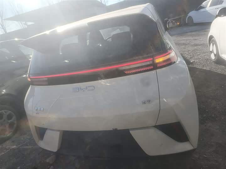 Фото 6 - BYD Seagull