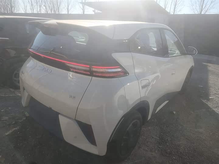 Фото 7 - BYD Seagull